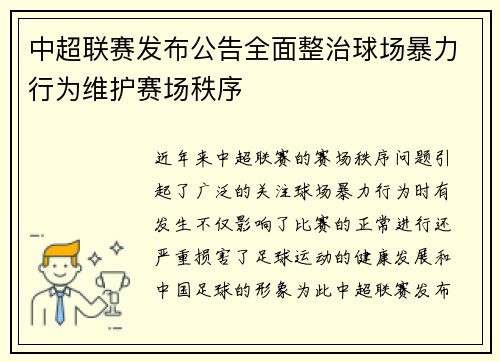 中超联赛发布公告全面整治球场暴力行为维护赛场秩序